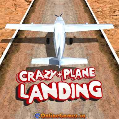 Crazy Plane Landing